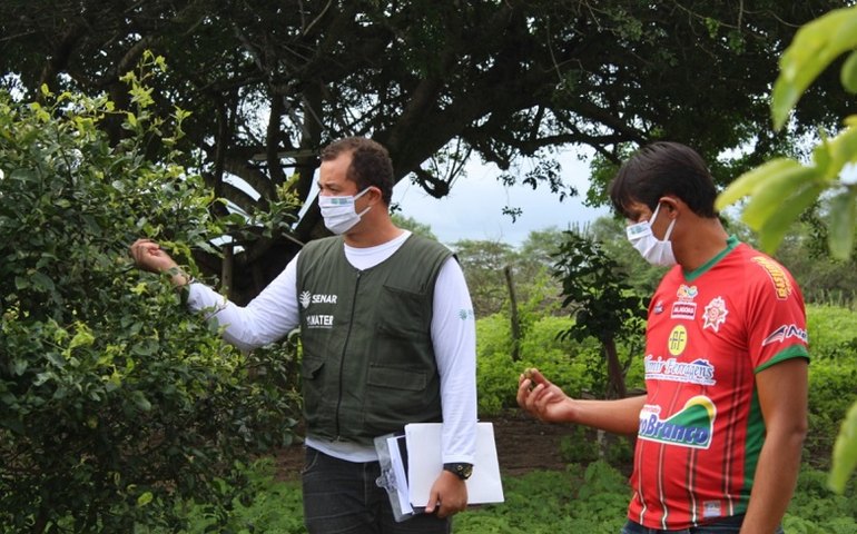 Senar capacita 2 mil alagoanos em ano de pandemia