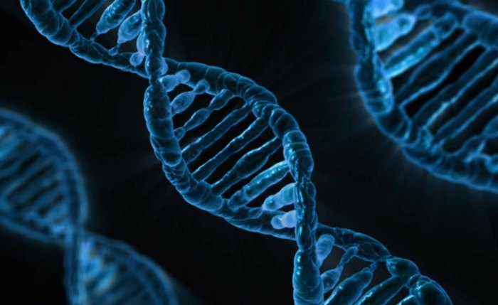 Mapeamento de DNA de brasileiros revela mais de 8 milhões de mutações genéticas desconhecidas Mapeamento de DNA de brasileiros revela mais de 8 milhões de mutações genéticas desconhecidas
