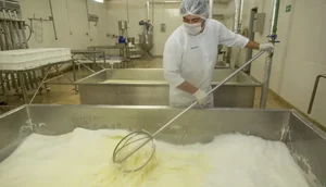 Senar Sergipe oferta curso gratuito de boas práticas na fabricação de alimentos / Foto: Foto: Senar/SE
