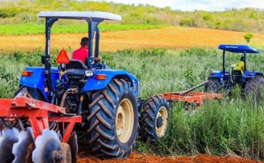 Arapiraca investe no plantio de milho irrigado e safra pode chegar a 250 toneladas