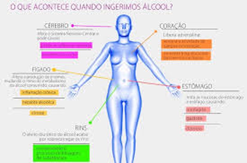 O que acontece com seu corpo quando você deixa de beber álcool: mudanças começam a partir do 1º dia