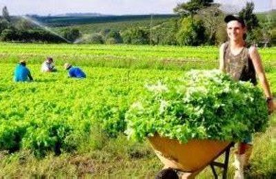 Emater e Caixa Econômica Federal firmam parceria para execução do Crédito Rural