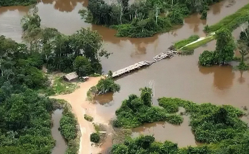 Polícia Federal destrói ponte clandestina em terra indígena no Pará