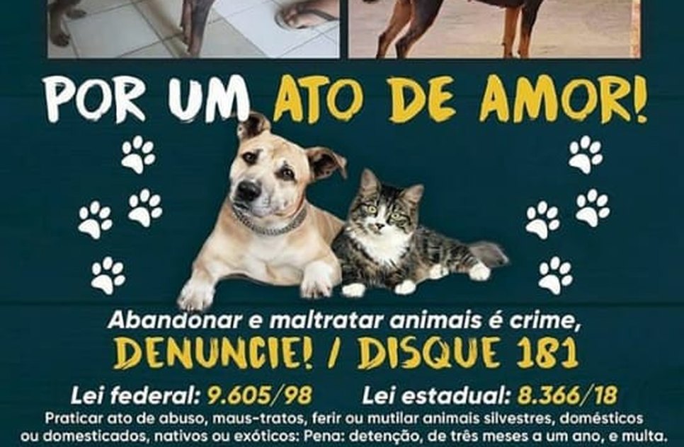 CAMPANHA ELAN / Foto: ELAN