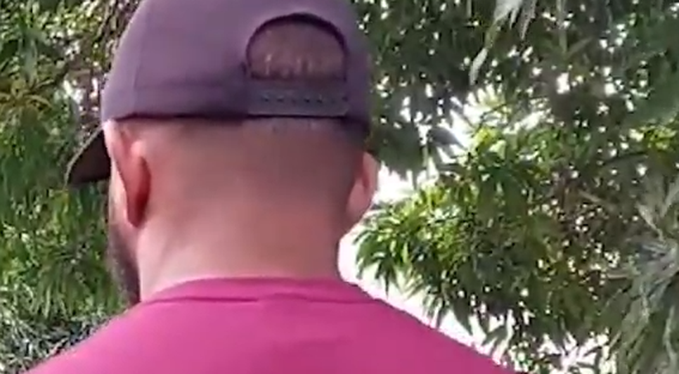 Capturar