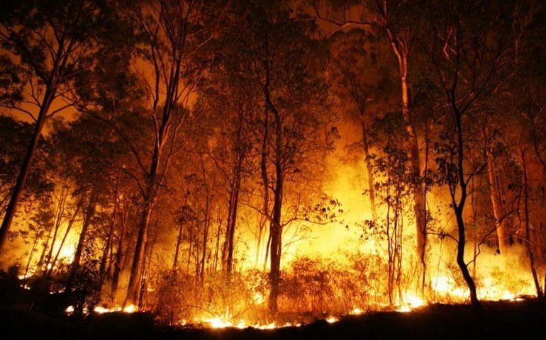 Incêndios no Havaí se tornam o segundo mais letal no século XXI