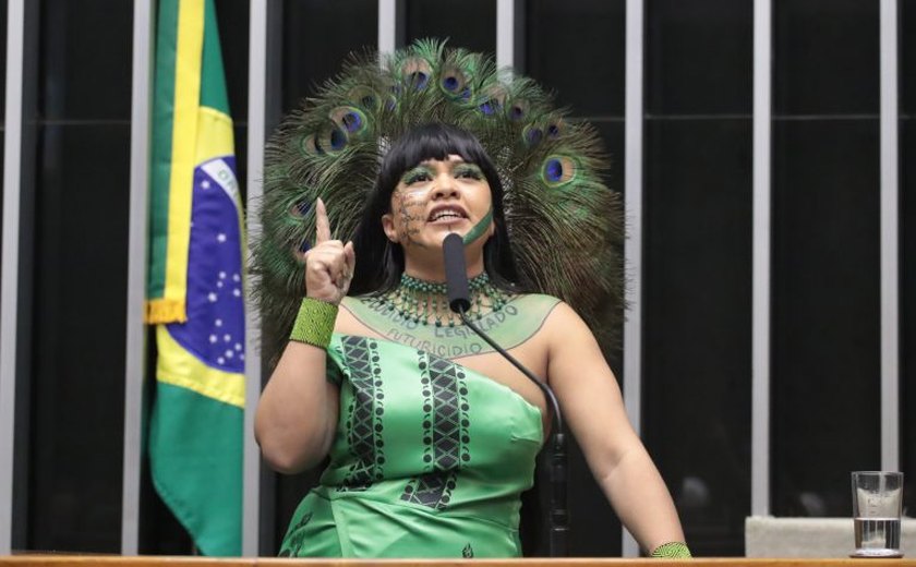 Comissão aprova criação de política para repatriar objetos culturais de povos indígenas