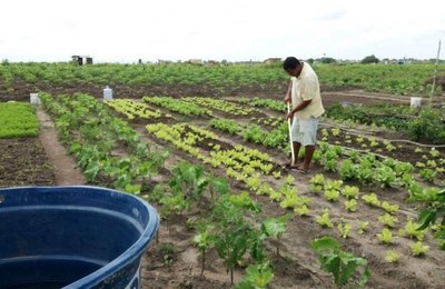 Edital da ABDI e SiDi seleciona startups do Nordeste com foco em tecnologia para o agronegócio