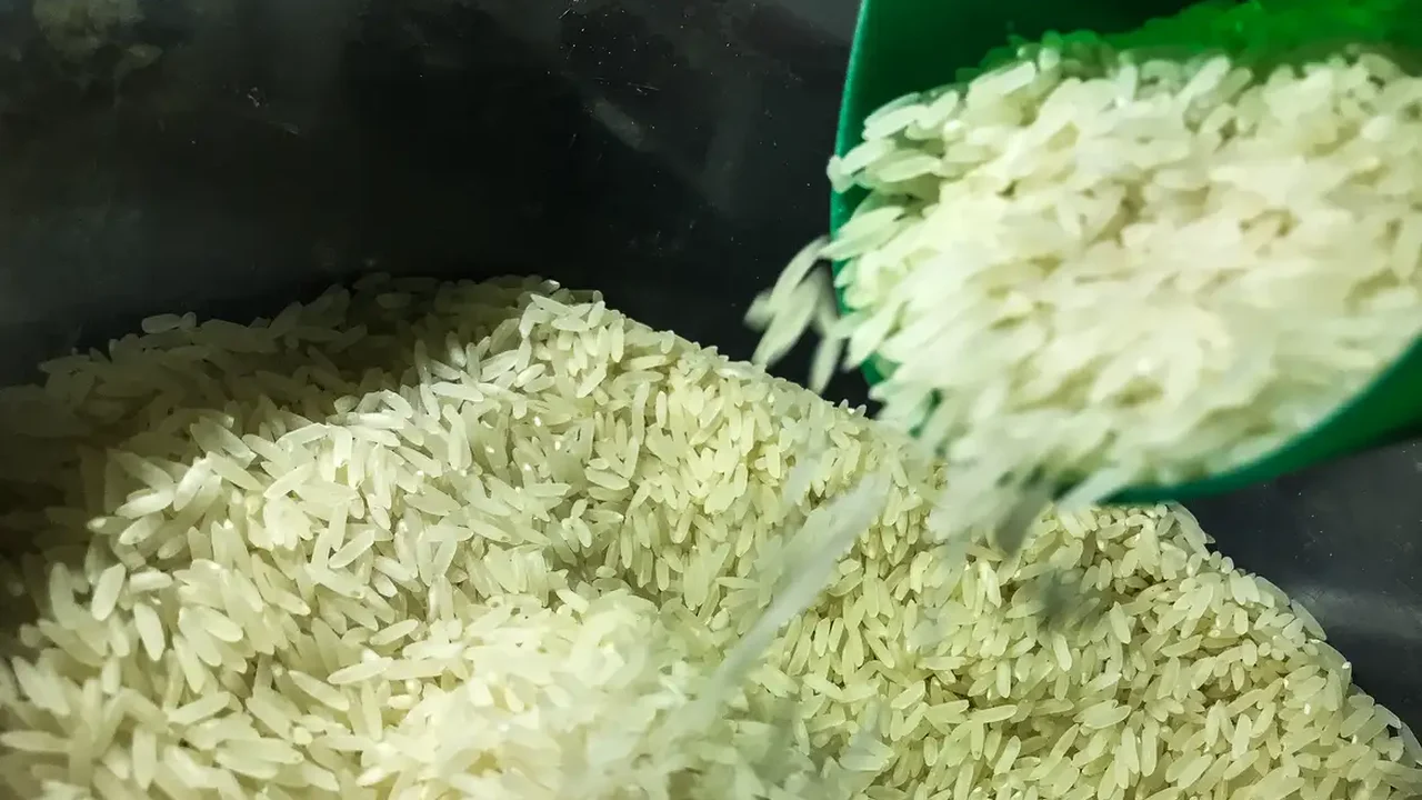 Toxinas de fungos encontradas em arroz e farinha: saiba a maneira correta de armazená-los para reduzir risco