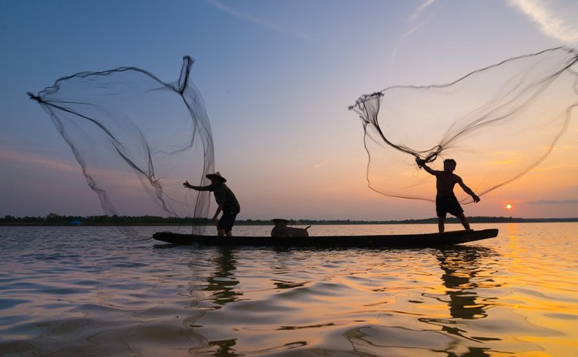 Milagre da multiplicação de peixes pode ter explicação científica, aponta estudo