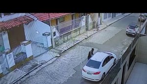 Câmeras de segurança flagram suspeito de furto no bairro Luzia.jpg