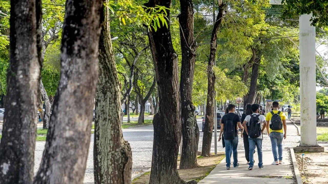 Ufal aprova Política Ambiental com diretrizes de sustentabilidade nos campi