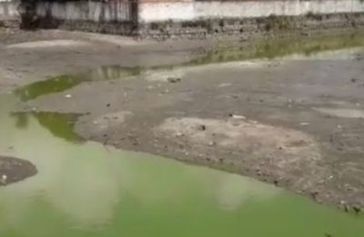Ação da prefeitura de Pilar retira jacarés de dentro de lago da cidade