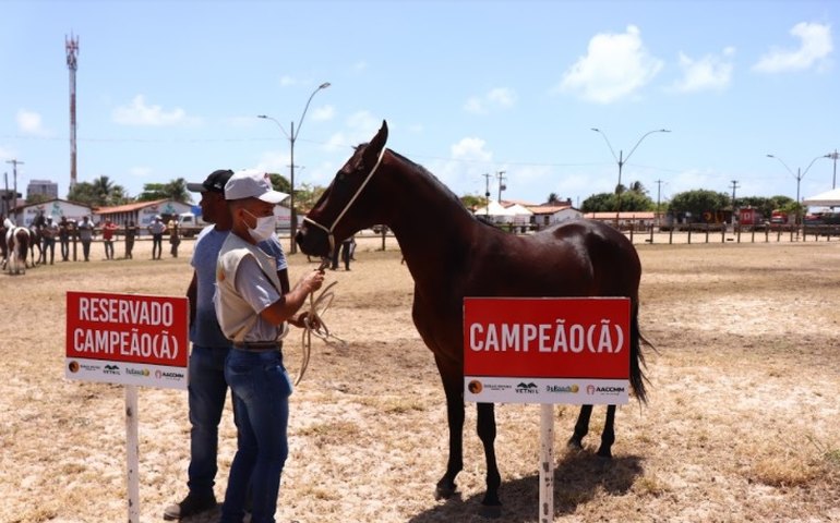 Expoagro/AL faz pista ‘pesada’ nos julgamentos