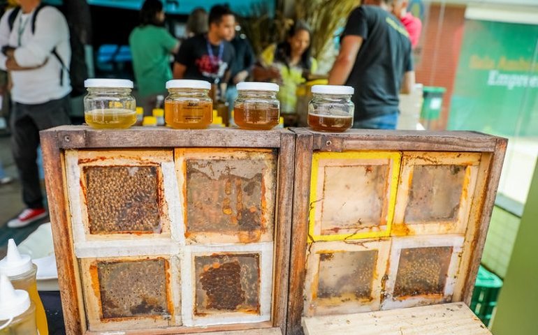 Medida provisória destina crédito extraordinário para apoiar produtores afetados por tarifas nos EUA