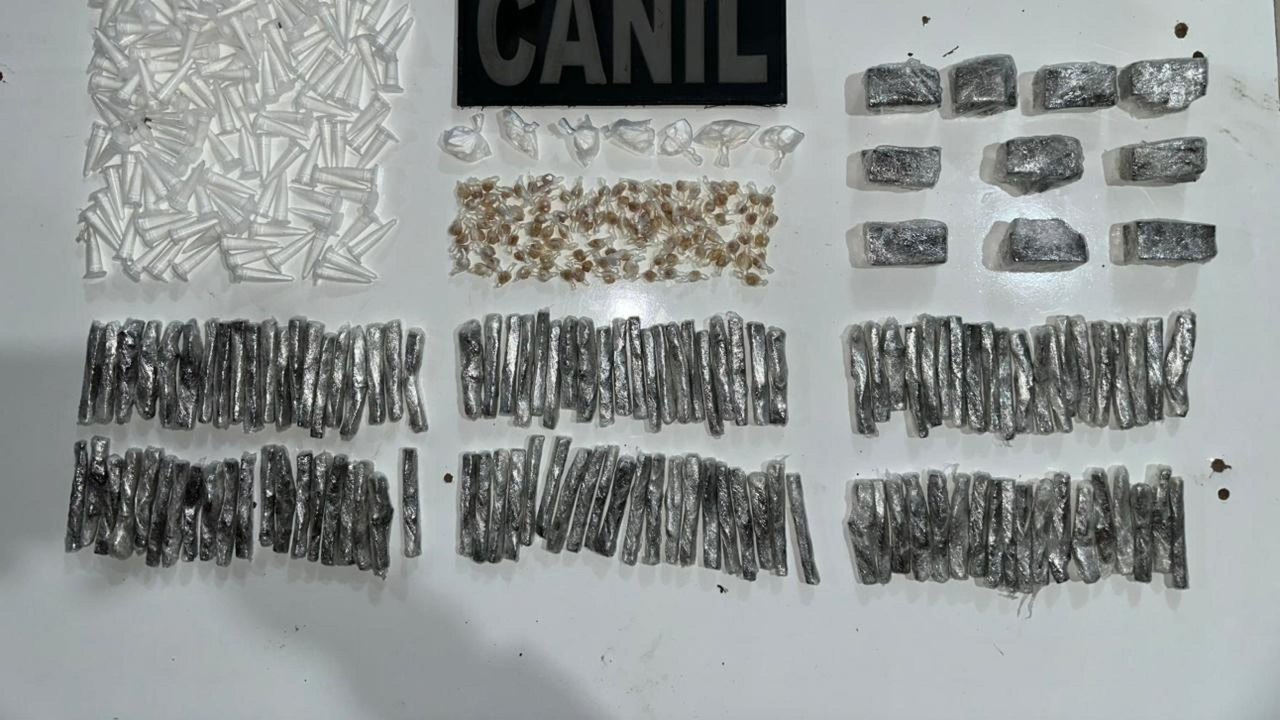 PM apreende cerca de 450 porções de drogas em Arapiraca