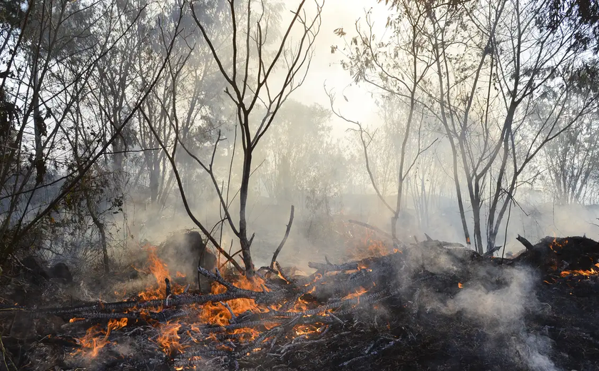 Incêndios já são os mais destrutivos da história de LA; Trump critica governador da Califórnia