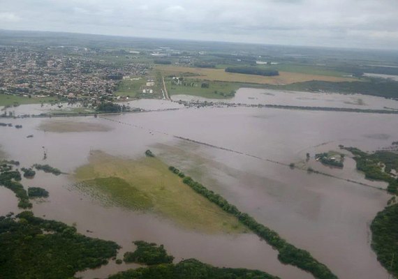 Arroz sem susto: MPs combatem escassez e tabelam preço em R$ 4 o quilo