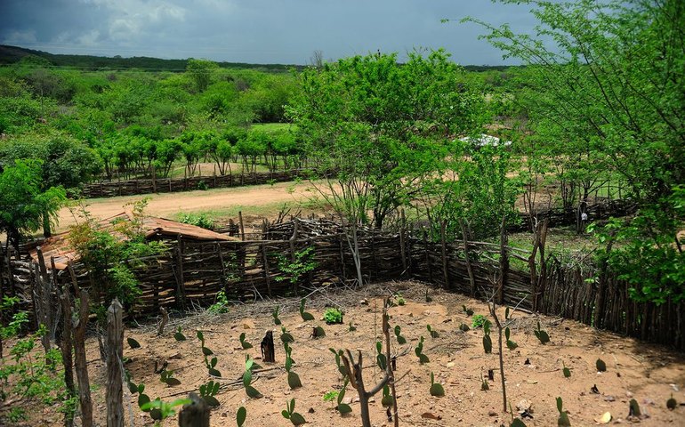Projeto vai beneficiar 1,8 milhão de agricultores no semiárido