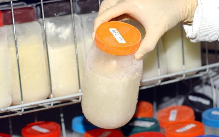 Maceió intensifica campanha para doação de leite humano diante da queda no número de doadoras