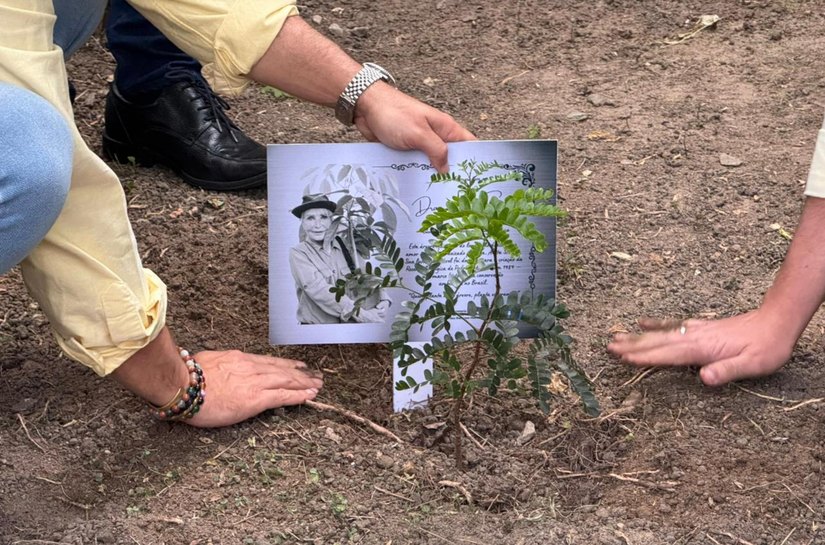 Semarh planta árvore em homenagem a Anita Studer