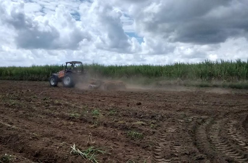 São Miguel dos disponibiliza assistência técnica para o pequeno produtor