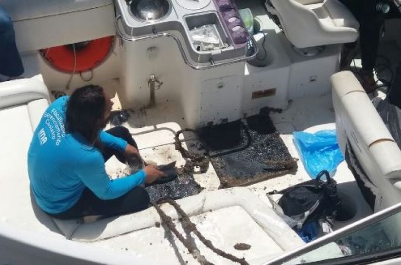 IMA/AL vistoria placas para identificar presença do coral-sol na costa alagoana