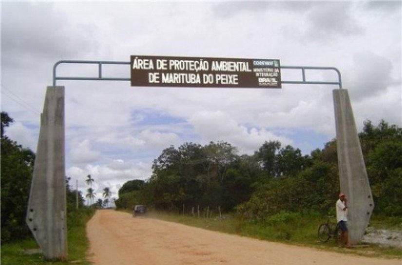 Institutos incentivam pesquisa na APA da Marituba do Peixe