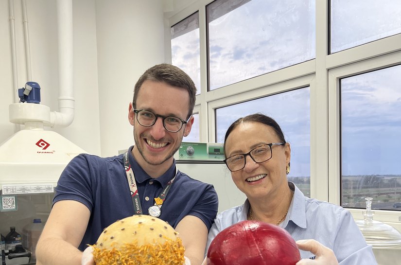 Projeto paranaense leva novos sabores à elite francesa do queijo