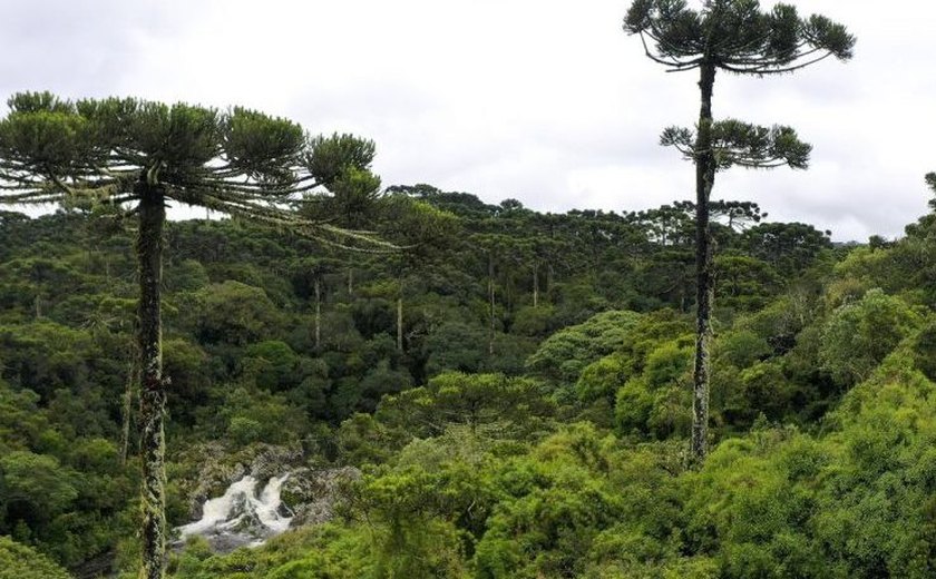 Deputados podem votar hoje o projeto que muda as regras do licenciamento ambiental