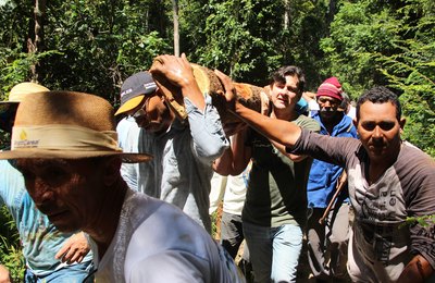 Busca do mastro abre programação da padroeira de Coruripe Nossa Senhora da Imaculada Conceição