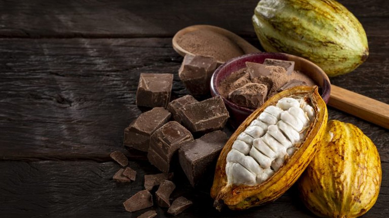 Com nova fábrica, Dengo escala apoio a produtores de cacau da BA e caminha para o lucro
