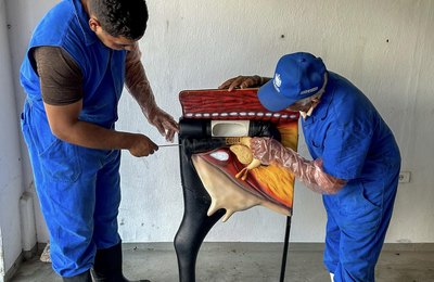 Agricultura entrega novo manequim para Curso de Inseminação Artificial