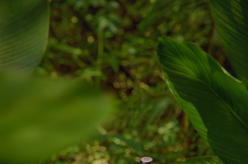 Natura Ekos lança nova linha Banho de Cheiro como um convite a novos rituais de bem-estar