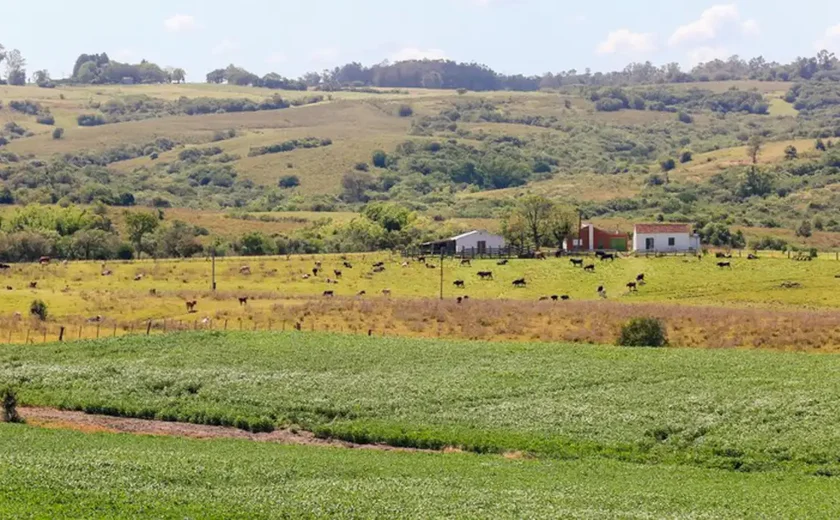 Pampa é o bioma brasileiro menos protegido por unidades de conservação