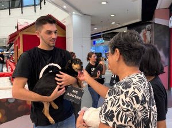Animais resgatados ganham novos lares em evento de adoção em Maceió