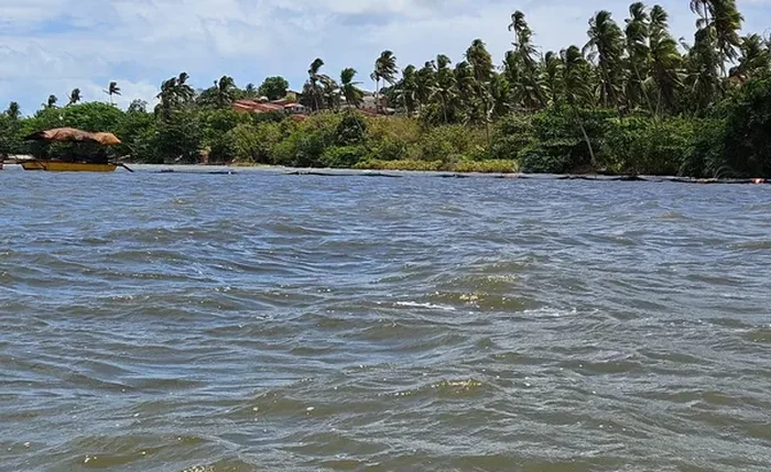 Pesquisadores encontraram peixes mortos