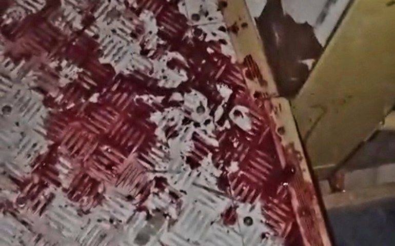 Torcedores do CSE são atacados por vândalos em Arapiraca após partida contra o Penedense