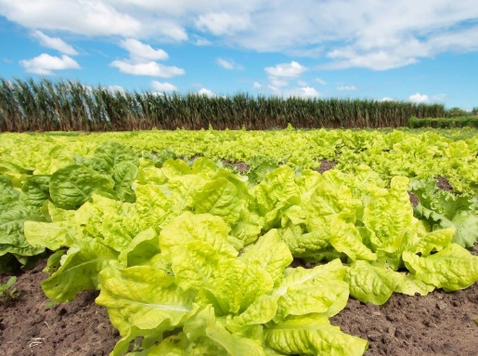 Emater apresenta projeto para cooperativas atendidas pela Desenvolve