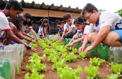 Instituições públicas do ensino básico terão que implantar hortas escolares