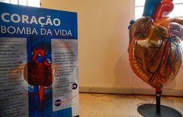 Casos de infarto sobem 158% em 14 anos