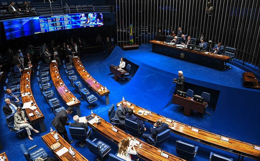 Congresso celebra os 40 anos do Movimento de Mulheres Camponesas