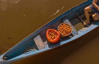 Natura reforça estratégia de prevenção aos efeitos do El Niño com  IA e rede de colaboração