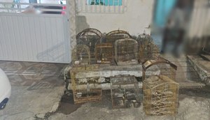 IMG_0873 (1)