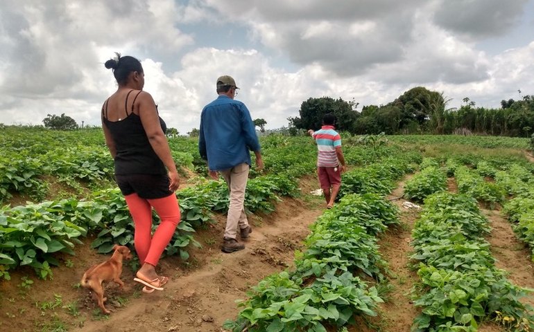 Agricultora familiar tem aumento de 375% na horta e vende produtos por delivery