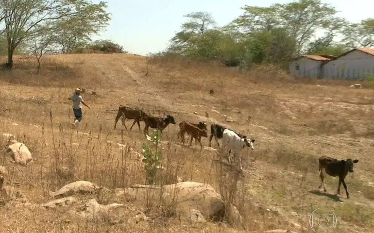SEMARH alerta para estiagem grave: 30% dos municípios de Alagoas enfrentarão seca severa