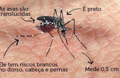 Planos de saúde terão que pagar exames de Zika a partir de hoje