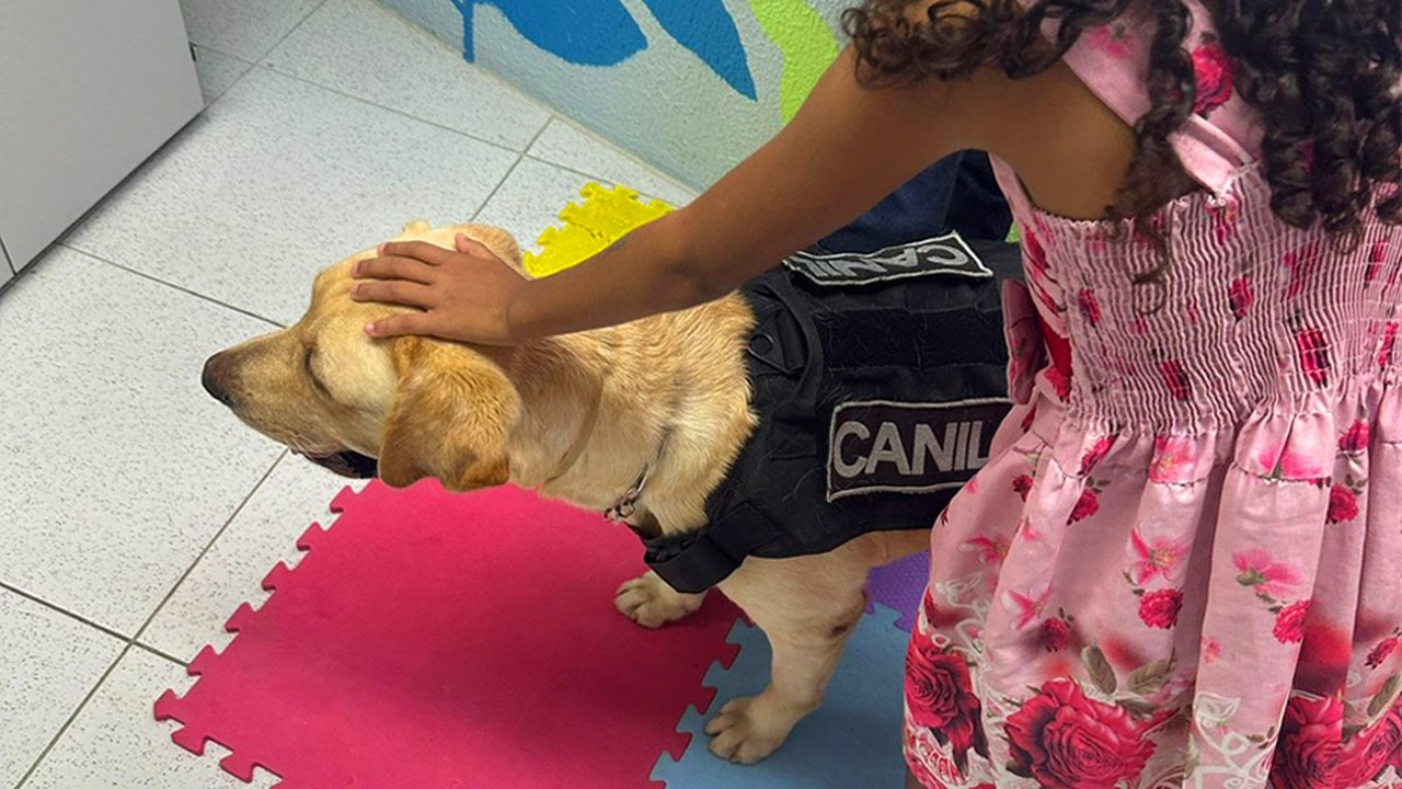 Afeto que protege: Cão de apoio emocional ajuda crianças vítimas de violência no Judiciário de Alagoas