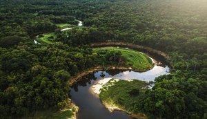 Amazônia-brasileira-1 / Foto: Foto: Reprodução