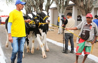 36ª Expo Bacia Leiteira  terá espaço para todo setor produtivo do leite 